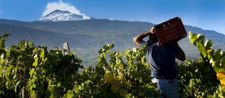Degustazione vini vulcanici Etna e Vesuvio