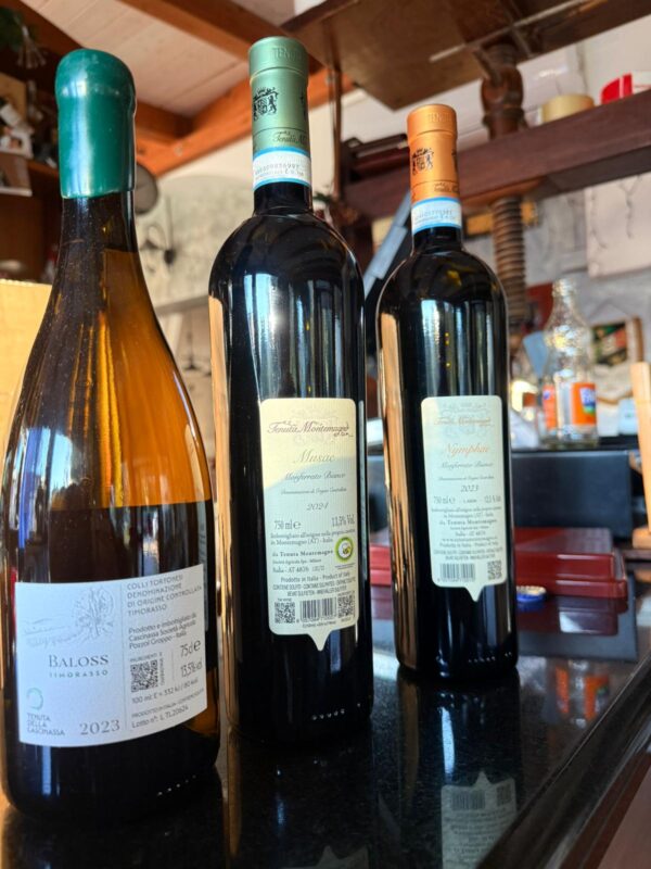 Masterclass Vino Timorasso Cilento