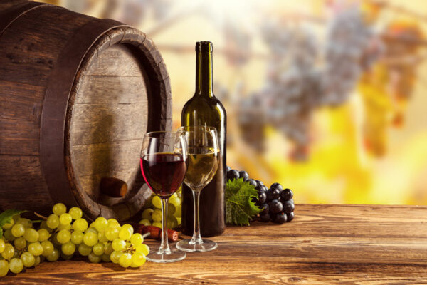 Degustazione vini del Mediterraneo a Ceraso